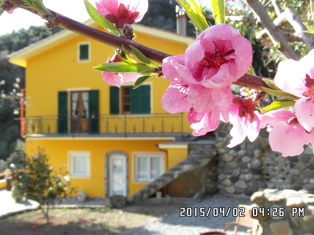 Agriturismo Costa Di Campo Vernazza Exterior foto