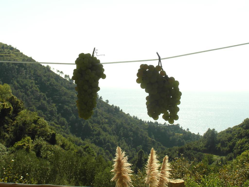 Agriturismo Costa Di Campo Vernazza Exterior foto